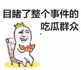 吃瓜群众在七零,吃瓜群众的欢乐时光-第2张图片-黄色漫画在线