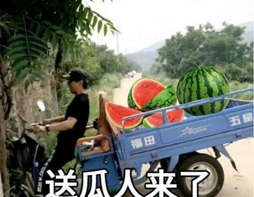 最近大瓜事件,揭秘明星隐私风波背后的真相-第1张图片-黄色漫画在线