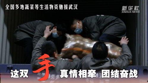 国产微视频打板子,创意无限，打板子背后的匠心独运-第2张图片-黄色漫画在线