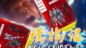 高达国产福袋开箱视频大全-第1张图片-黄色漫画在线