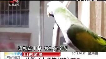 国产美女调教男奴视频,揭秘隐秘的欲望世界-第2张图片-黄色漫画在线