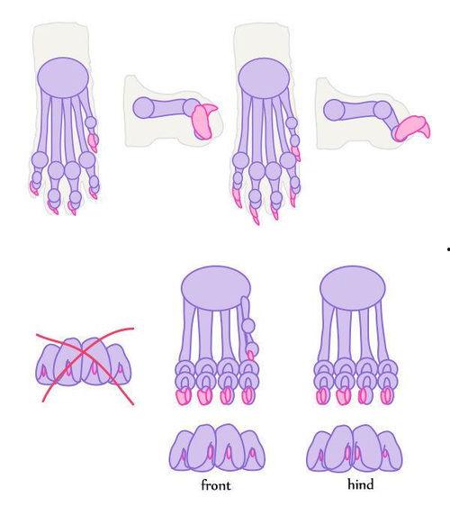 国产插画画法视频教程,国产插画风格视频教程全解析-第3张图片-黄色漫画在线