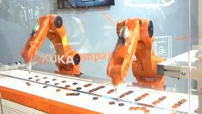 机器人素材视频国产,创新科技引领未来视觉体验-第2张图片-黄色漫画在线