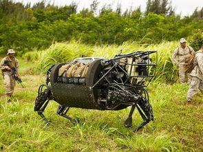 国产大狗机器人视频,智能革新，未来生活新伙伴-第1张图片-黄色漫画在线