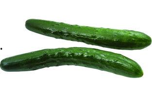 国产大黄瓜图片视频在线,探寻我国农业新宠儿的魅力与价值-第2张图片-黄色漫画在线