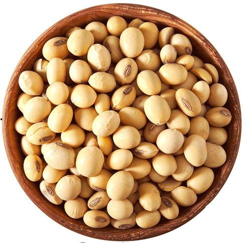 黄豆视频国产精品,国产精品内容盛宴-第2张图片-黄色漫画在线